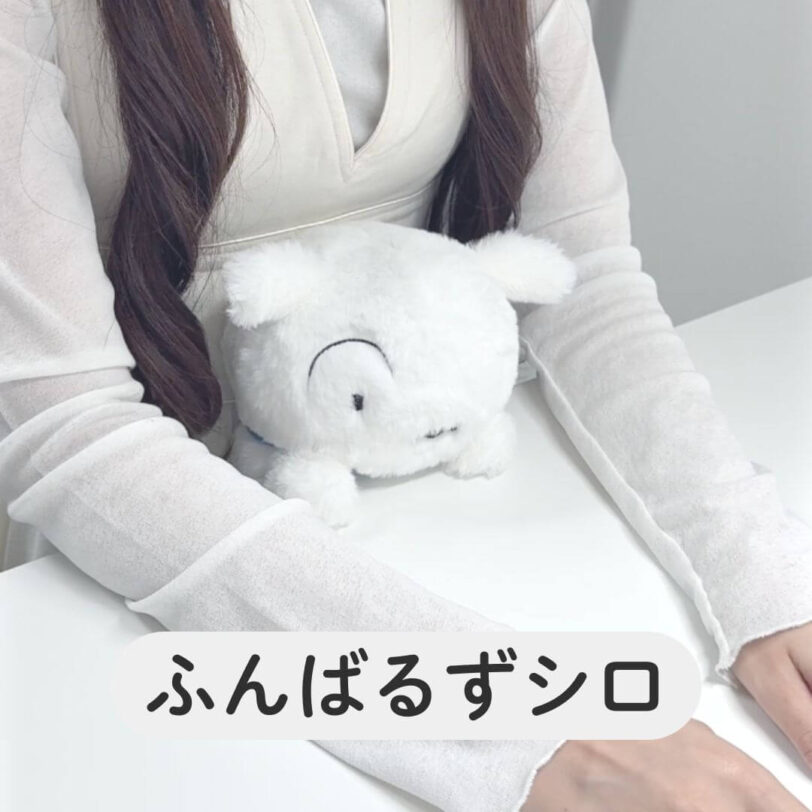 shiba-goods174