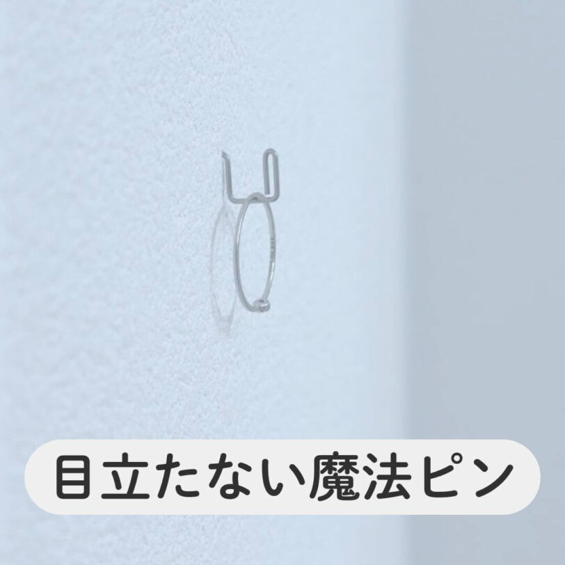 shiba-goods176