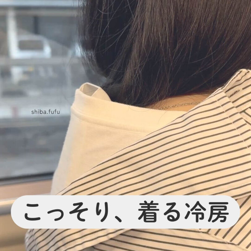 shiba-goods213