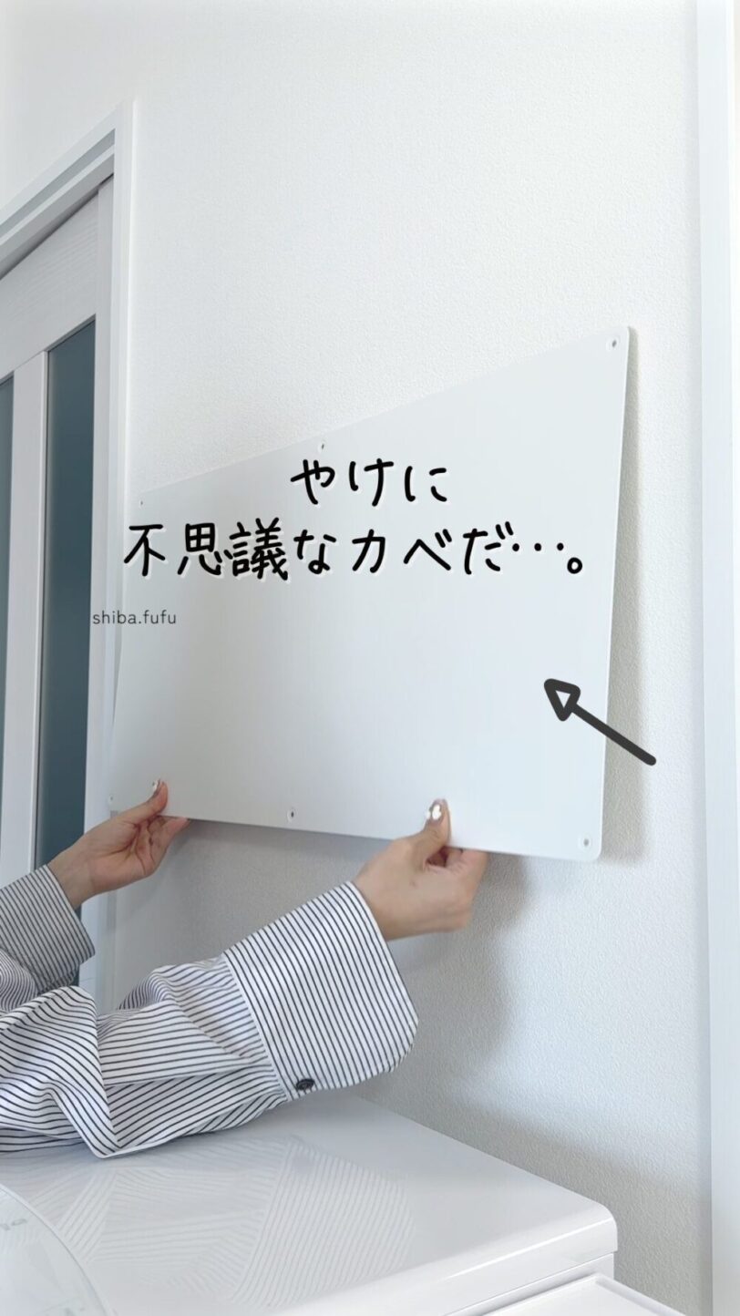 shiba-room230