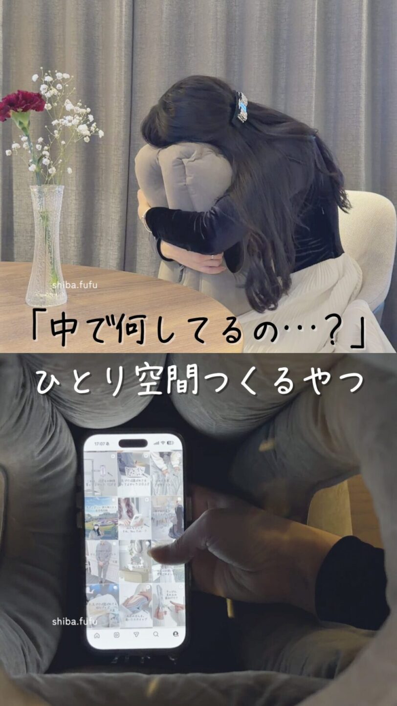 shiba-room329
